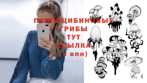 гашиш Верея