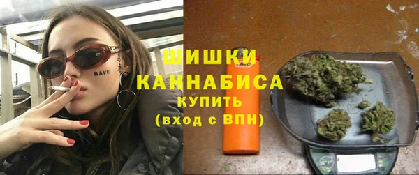 амф Бронницы